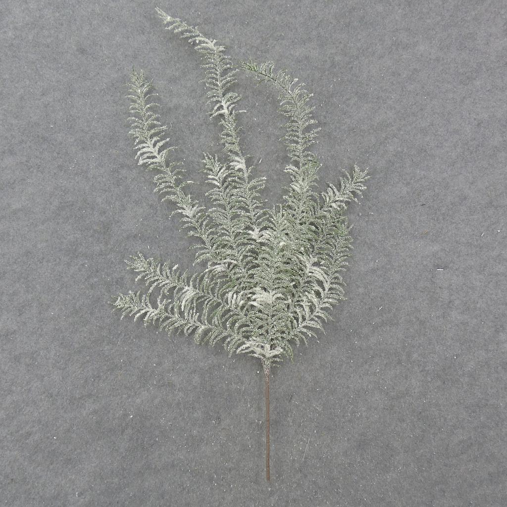 29&quot; FROSTED PINE BUSH x11