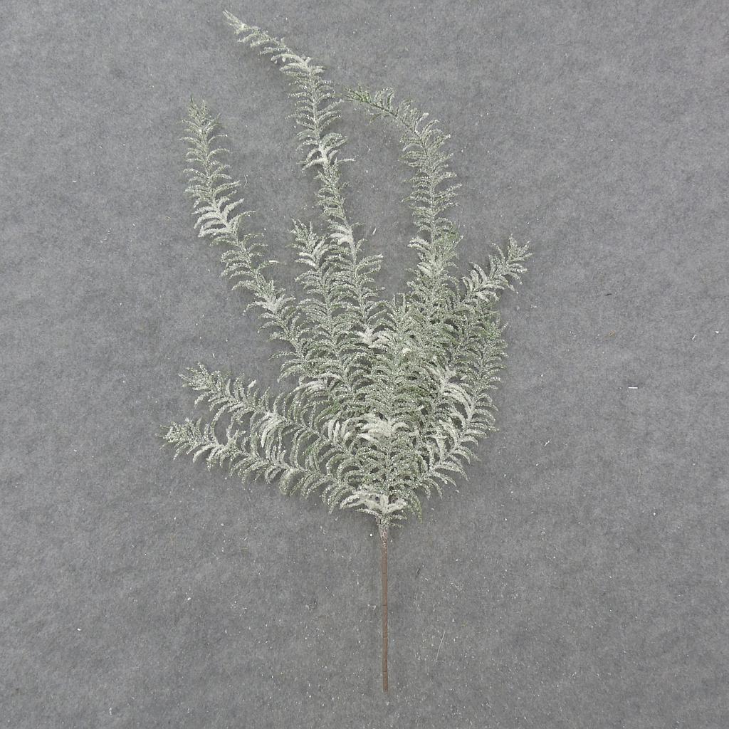 [XB0010] 29" FROSTED PINE BUSH x11