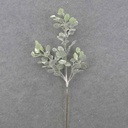 30.5" SNOWY EUCALYPTUS STEM