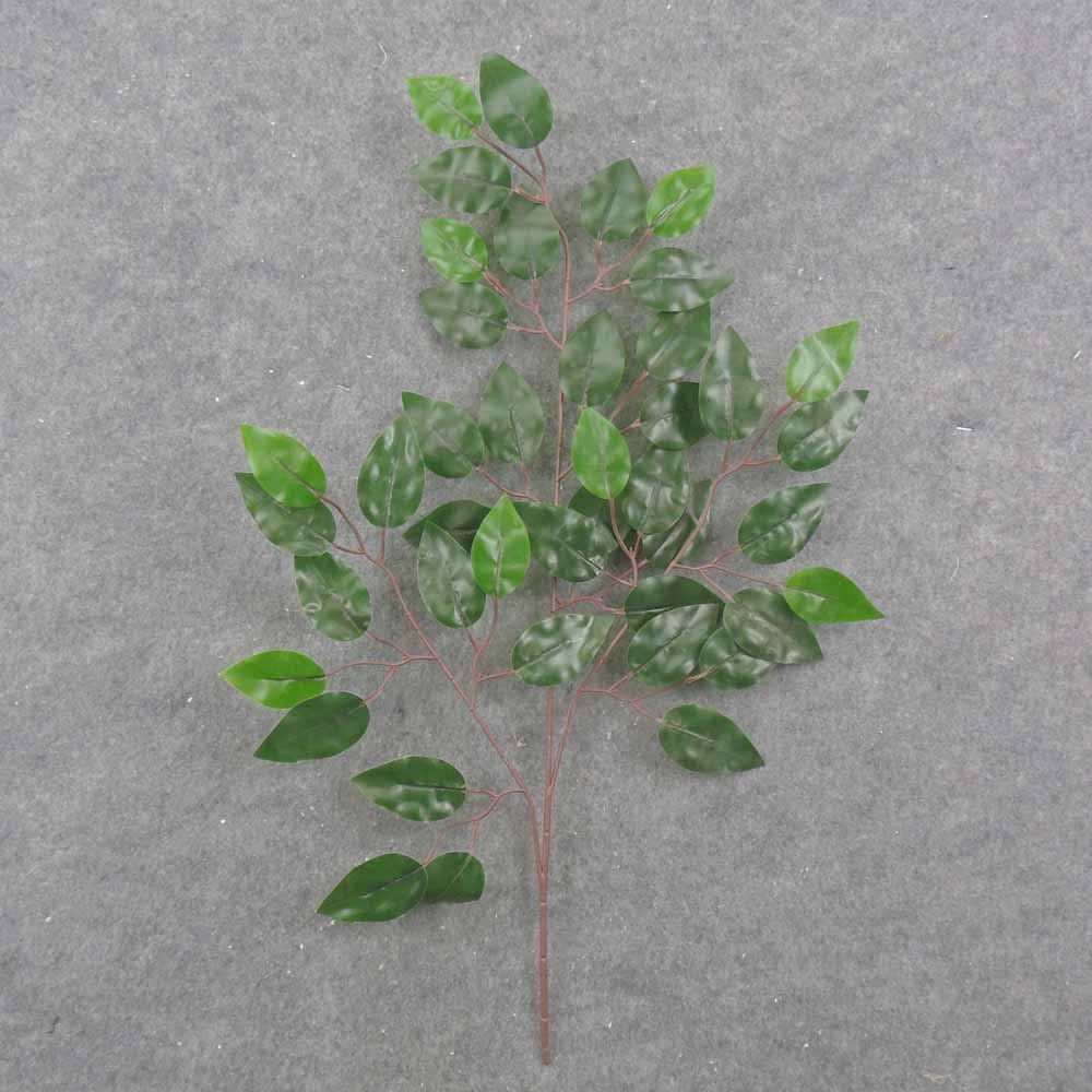 25" GREEN FICUS SPRAY X3