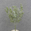 18" SEEDED EUCALYPTUS BUSH X7 DUSTY GREEN