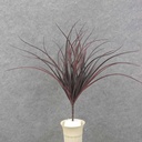 18" BURGUNDY GRASS BUSH