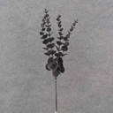 19" BLACK GLITTER EUCALYPTUS BUNDLE X4