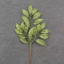 19" GREEN GLITTER LEAF SPRAY X3