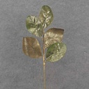 23" GOLD BRUSHED MAGNOLIA LEAF SPRAY