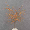 22" BITTERSWEET BERRY BUSH X6
