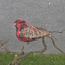 5.5" BUFFALO PLAID BIRD W/CLIP