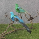 10" PEACOCK W/FEATHER TAIL 2-ASST BLU/GRN W/CLP