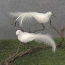 6.5&quot; MUSHROOM DOVE W/FEATHER TAIL FLOCKED W/CLP
