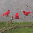 5" MUSHROOM CARDINAL W/FEATHER TAIL W/CLP