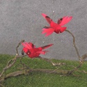 5"x5" FLYING MUSHROOM CARDINAL W/CLIP