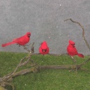 5" MUSHROOM CARDINAL 3-ASST W/CLIP