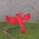 8"x11.5" FLYING MUSHROOM CARDINAL W/CLP