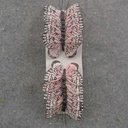 2.5" PINK MONARCH BUTTERFLY W/WIRE