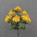 18.5" RUDBECKIA BUSH X9 GOLDEN YELLOW