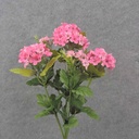 17" WAXFLOWER BUSH X10 PINK