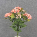 17" WAXFLOWER BUSH X10 SALMON