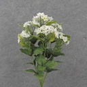 17" WAXFLOWER BUSH X10 WHITE