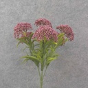 17" SEDUM BUSH X7 PURPLE