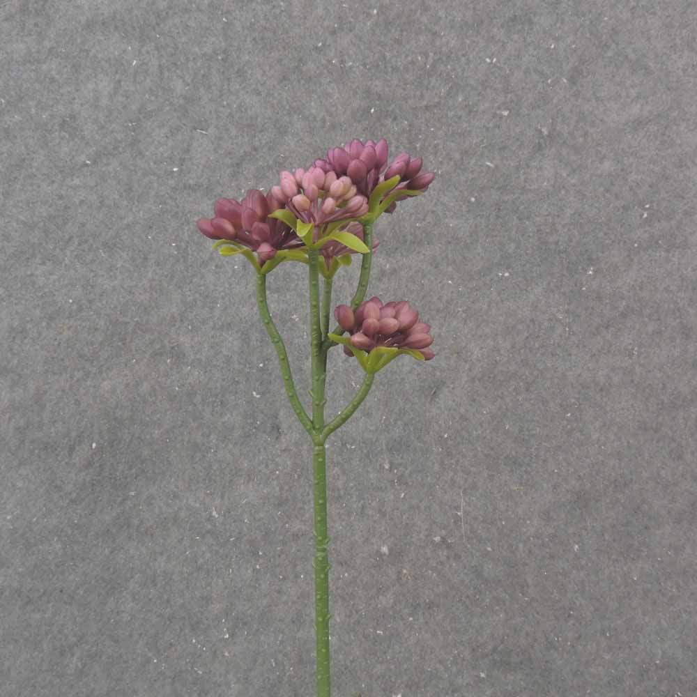 11.5" SEDUM STEM X5 BURGUNDY
