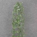 48" HANGING IVY BUSH X5 VARIGATED (PLASTIC)