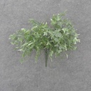 16" IVY BUSH X7 VARIGATED (PLASTIC)