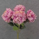 17.5" PEONY BUSH X 5 BEAUTY/CREAM