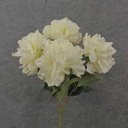 17.5" PEONY BUSH X 5 CREAM