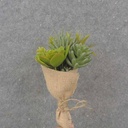 9" MIXED SUCCULENT BOUQUET WITH BURLAP WRAP