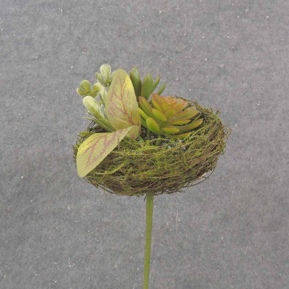 SUCCULENT & FOLIAGE IN 5.25" MOSS NEST W/PICK