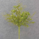 24" MOSSY TEA LEAF BUSH