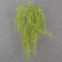 34&quot; HANGING SPANISH MOSS BUSH X5 GREEN