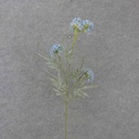 34&quot; THISTLE SPRAY X3 BLUE