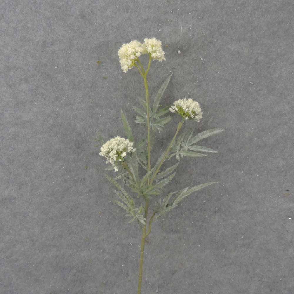 34" THISTLE SPRAY X3 CREAM