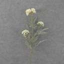 34" THISTLE SPRAY X3 CREAM