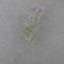 34&quot; THISTLE SPRAY X3 PURPLE
