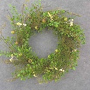 18" BERRY & MIXED FOLIAGE WREATH CREAM/GREEN