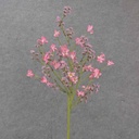 28" BERRY & BLOSSOM SPRAY PINK