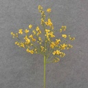 28" BERRY & BLOSSOM SPRAY YELLOW