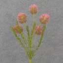 21.5" THISTLE SPRAY X5 PINK