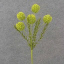 21.5" THISTLE SPRAY X5 GREEN