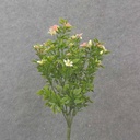 14.5" TEALEAF BUSH W/ BLOSSOMS X7 PINK/CREAM