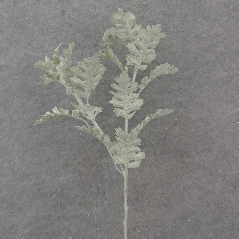 [SB1028] 29" DUSTY MILLER SPRAY