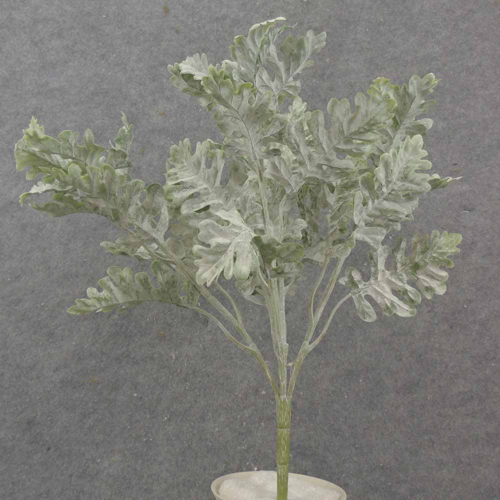 16" DUSTY MILLER BUSH X5