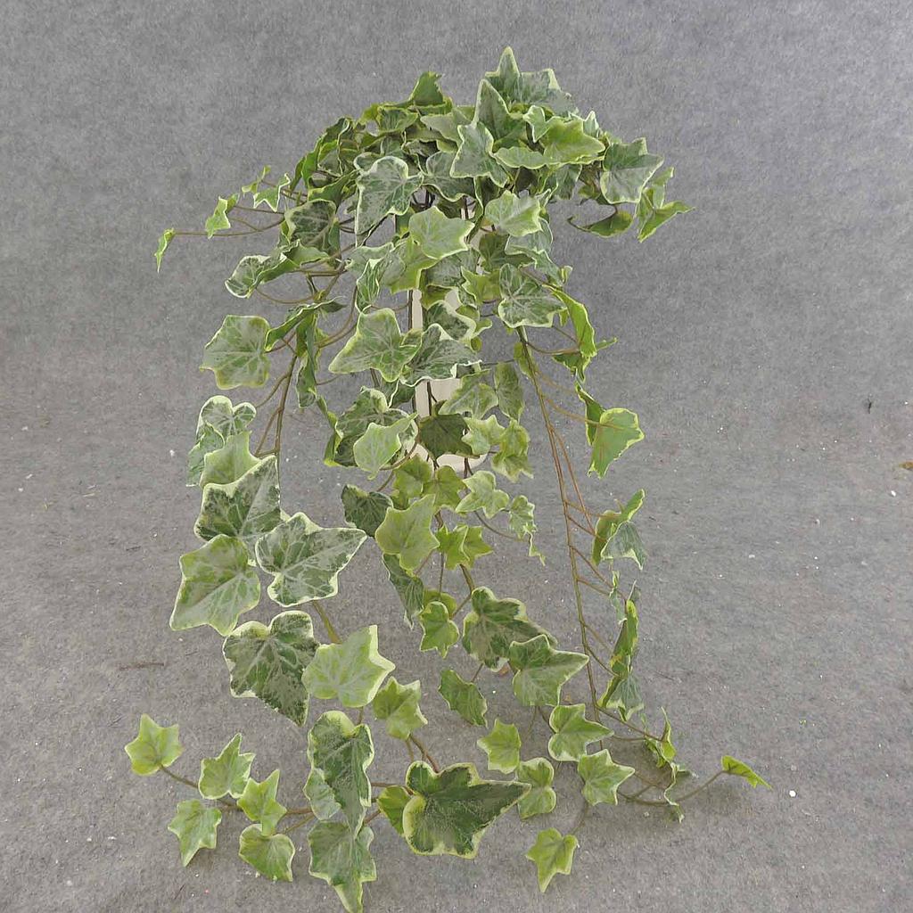 [SE6560-FRT] 34" IVY ENGLISH HANGER 191 LVS FROSTED