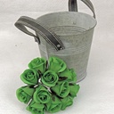 ROSE SWEETHEART PICK KELLY GREEN (1 DZ/POLY BAG)
