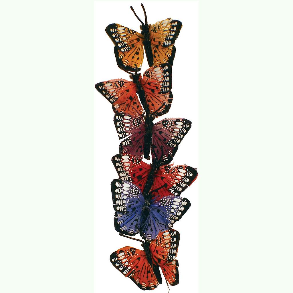 1.5" JEWELTONE BUTTERFLY 6-ASST