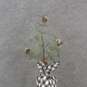 13" MING PINE TREE W/ CONES & B/W PLAID BALL BASE