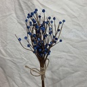 13" BLUE BERRY BUNDLE x6