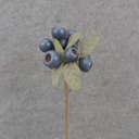 12" BLUE BERRY PICK